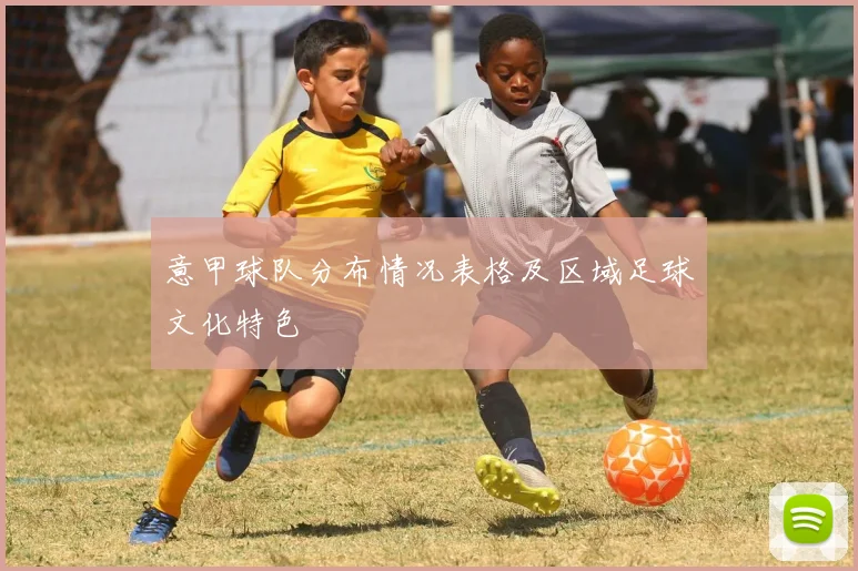 意甲球队分布情况表格及区域足球文化特色
