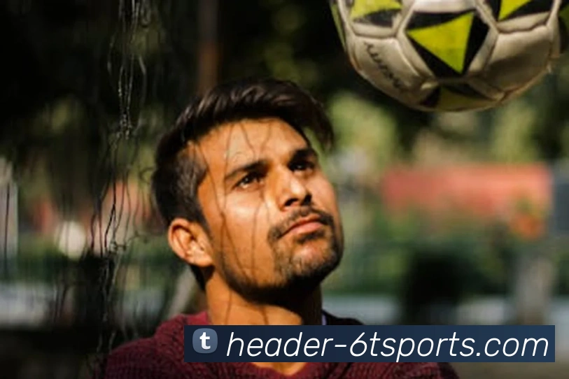 6T体育平台生态图